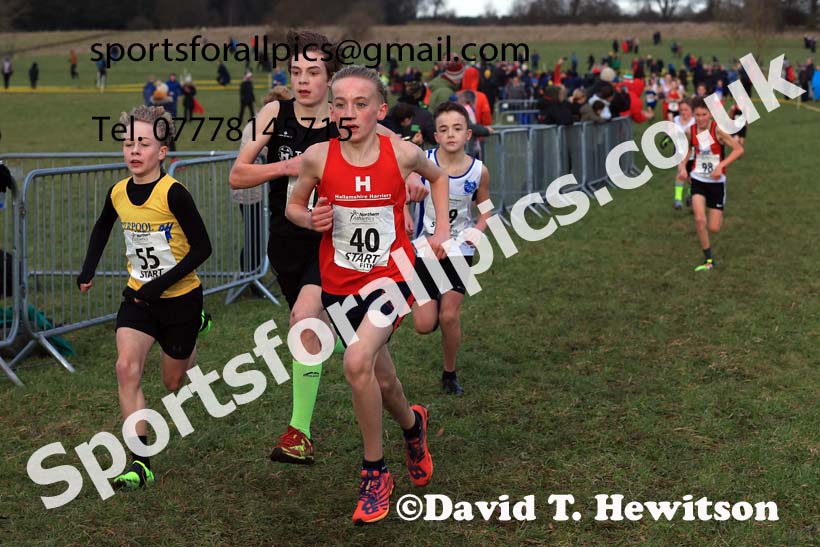 Boys Under-13s 2024 Northern Cross Country Champs., Sedgefield. Photo: David T. Hewitson/Sports for All Pics